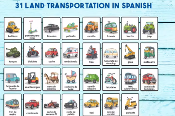 31 land transportation flaschards in spanish