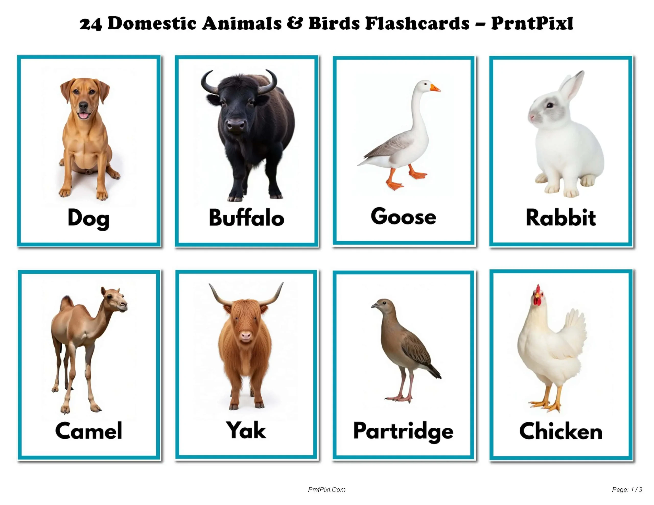 A4 Farm Animal Flashcards Real Photos Free PrntPixl