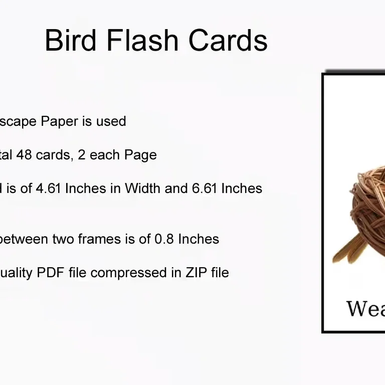 All Bird Flash Cards Details