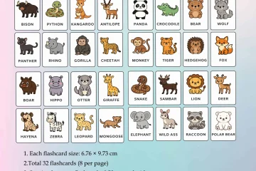 Animal Flashcards