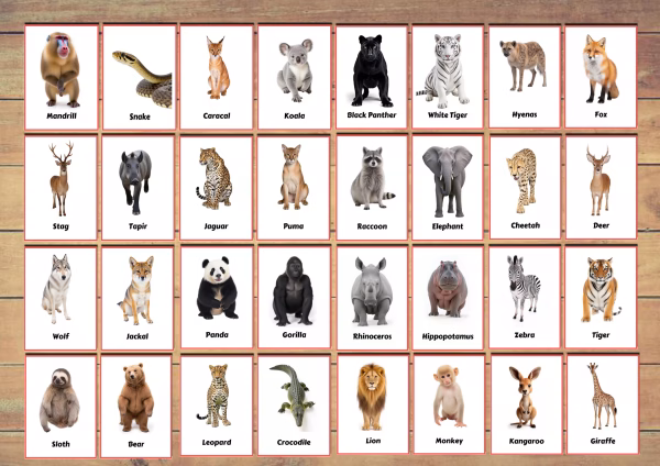 Animals Flashcards Printable