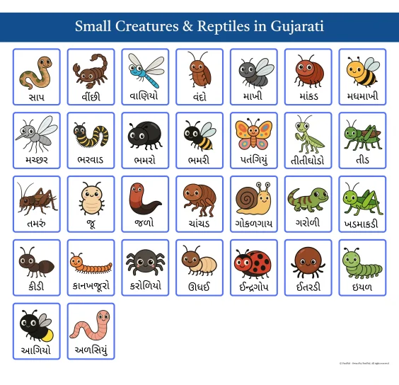 Bilingual Gujarati Educational Cards Bilingual Gujarati Educational Cards