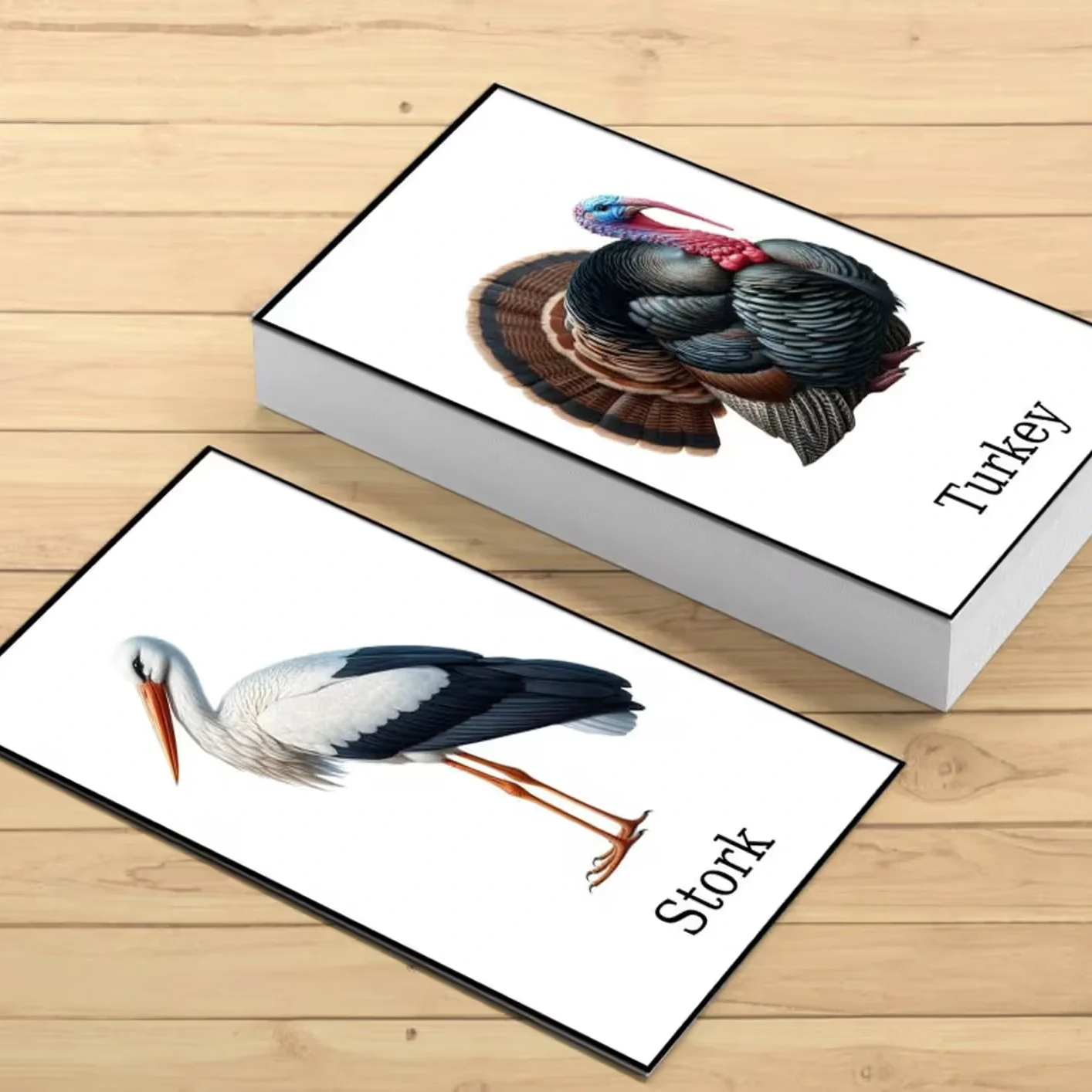 Bird Flash Cards Freebie Design