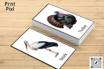 Bird Flash Cards Freebie Design