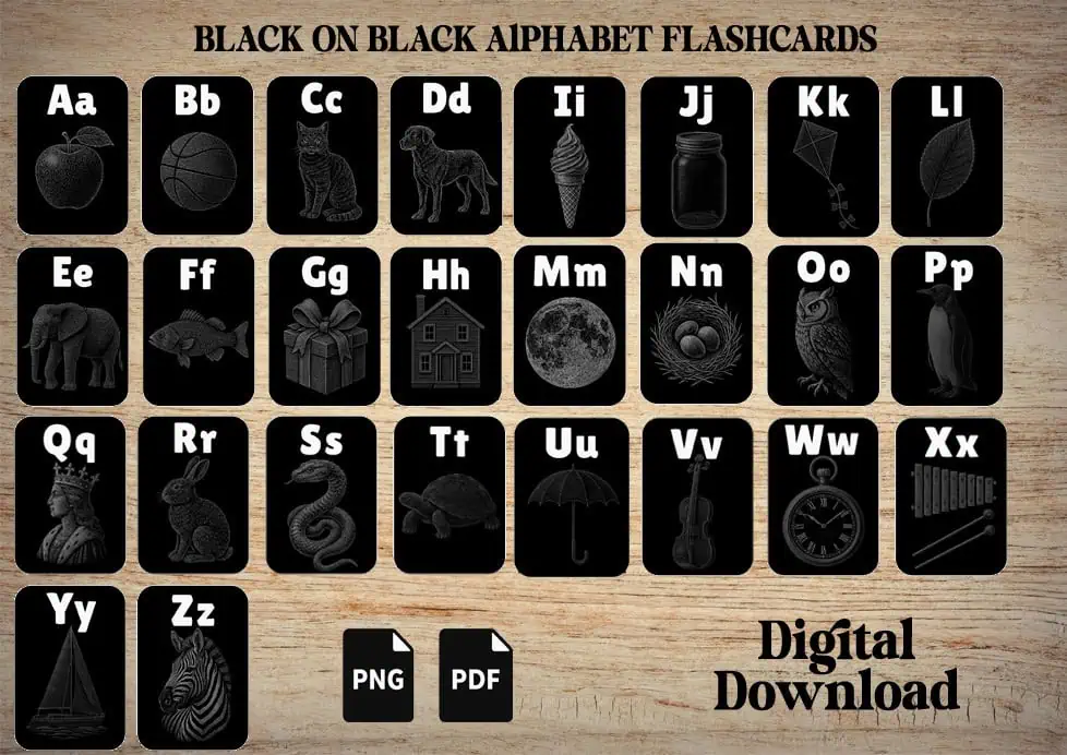 Black On Black Alphabet Flashcards