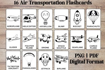 Black and White Air Transportation Flashcards