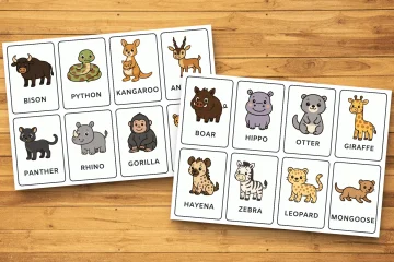 Cartoon Flashcards in English