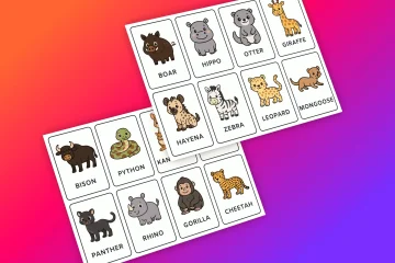 Cute Animal Flashcards in English