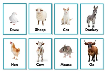 Domestic Animals Birds Learning Cards Toddlers PDF