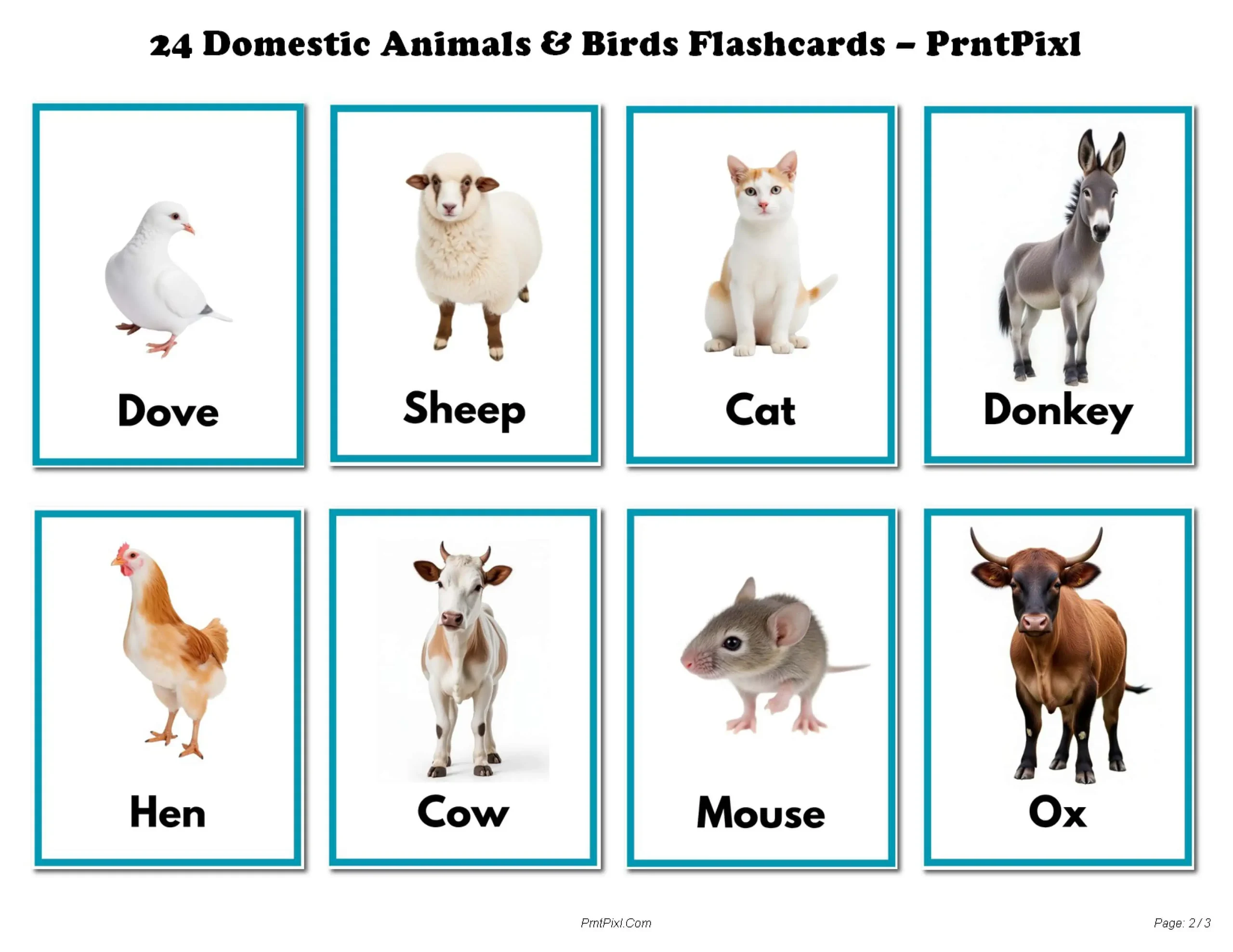 Domestic Animals Birds Learning Cards Toddlers PDF