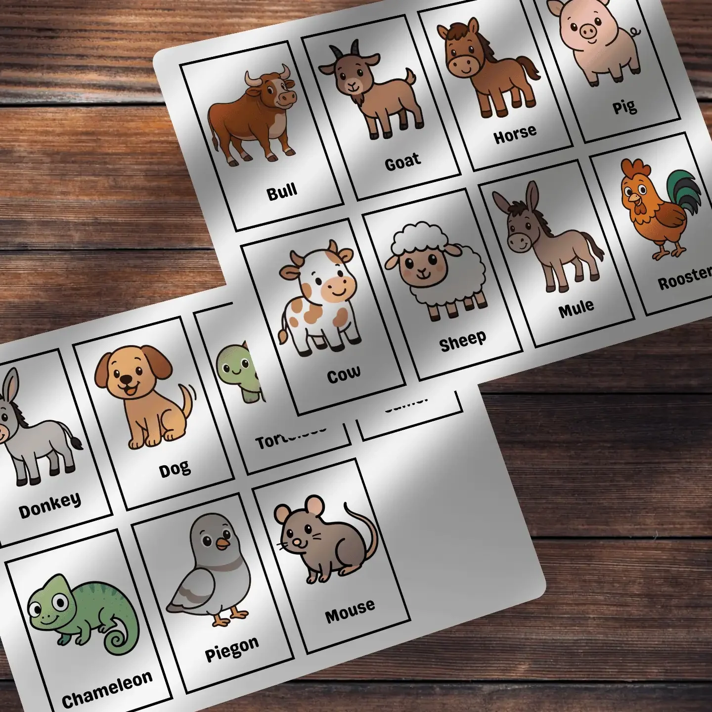 Domestic Animals Flashcards