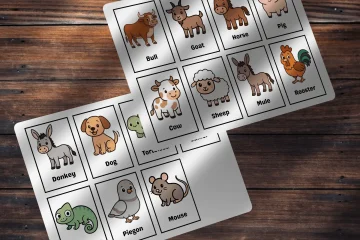Domestic Animals Flashcards