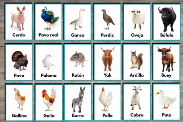Domestic Animals Flashcards in Spanish