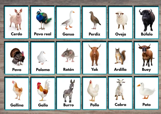 Domestic Animals Flashcards in Spanish