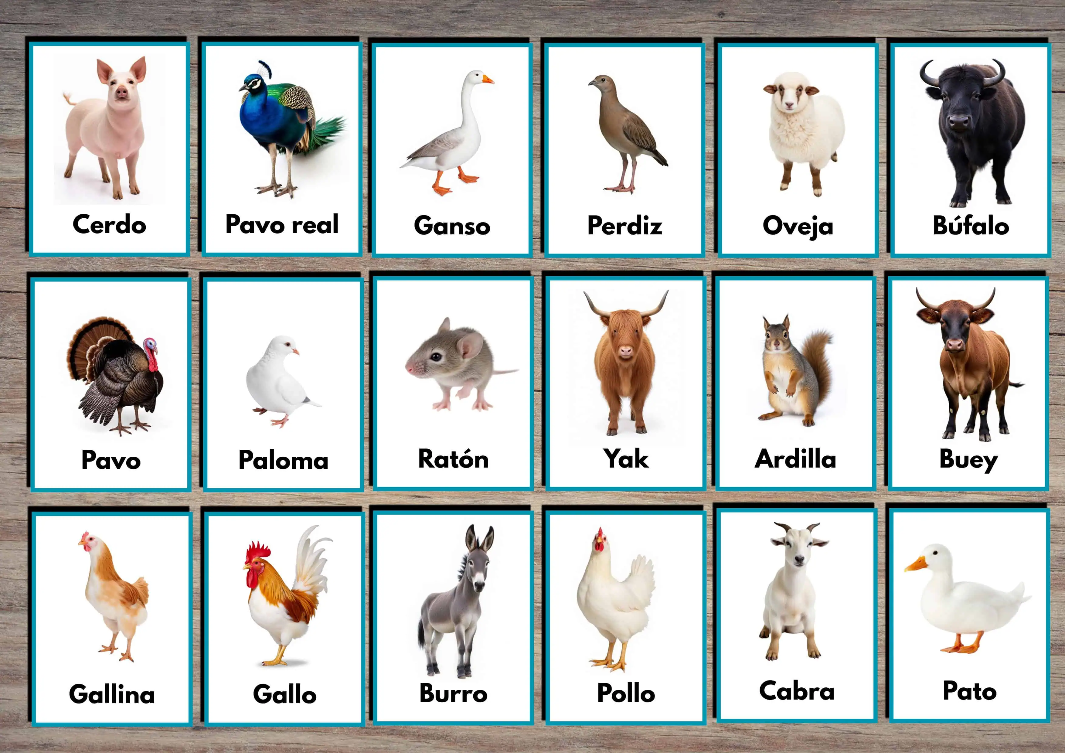 Domestic Animals Flashcards in Spanish