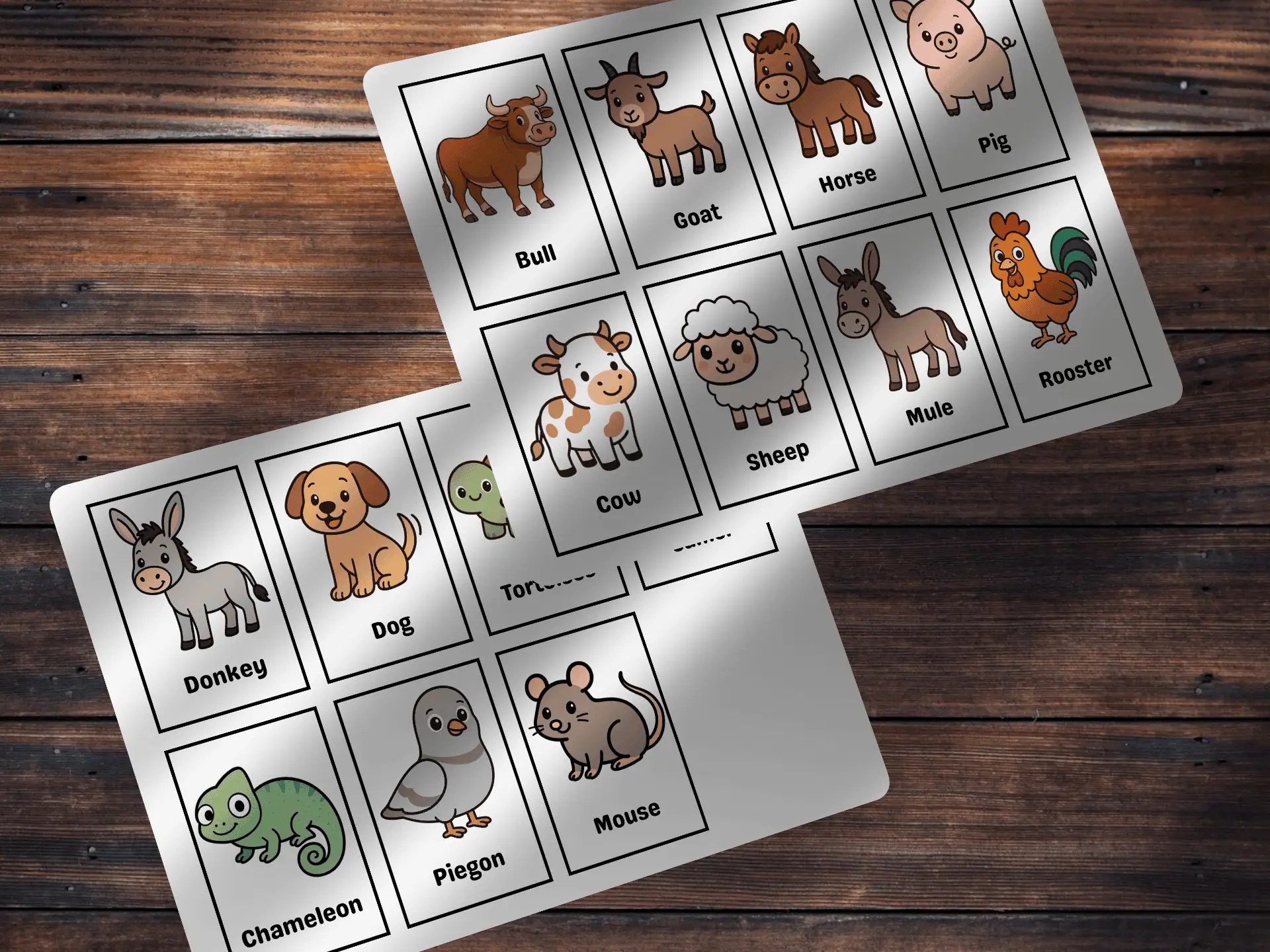 Domestic Animals Flashcards