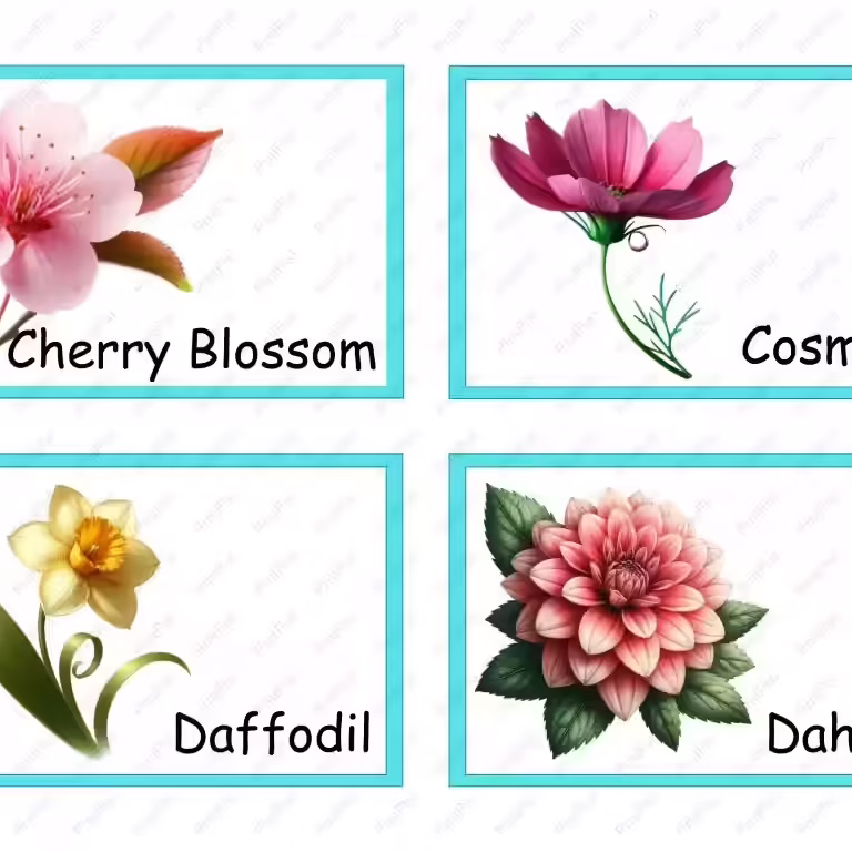 Flower-FlashCards-Printable