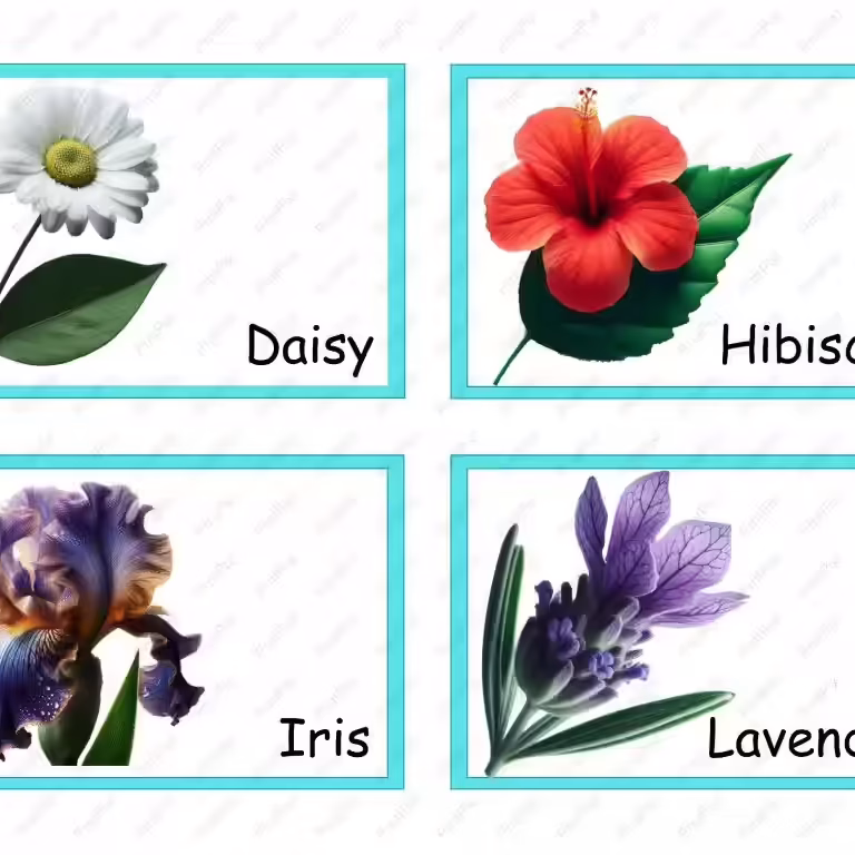 Flower Flashcards