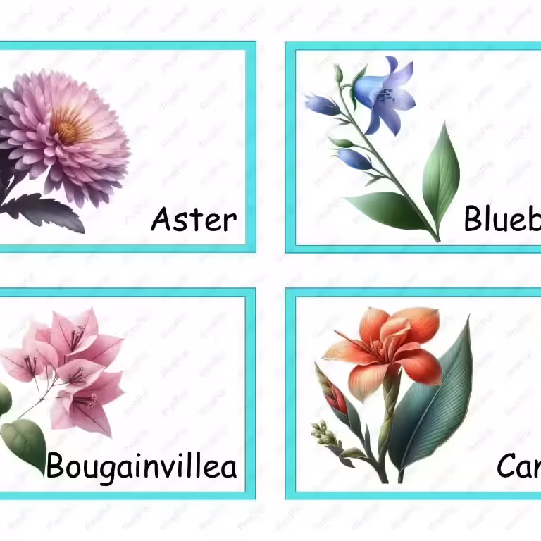 Flower Flashcards Freebie