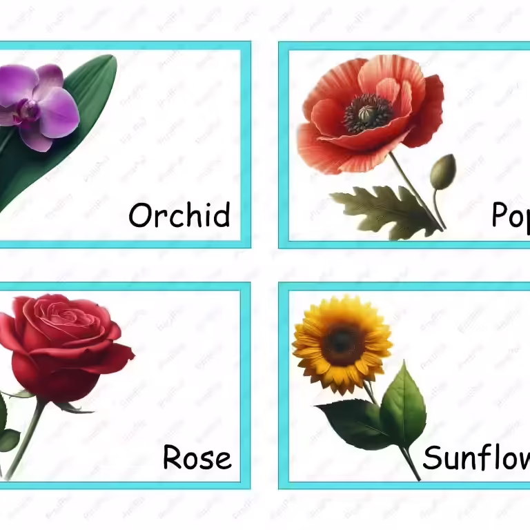 Flowers-Flashcards-Printables