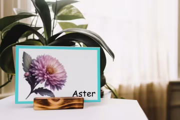 Flowers Flashcards Printables Freebie