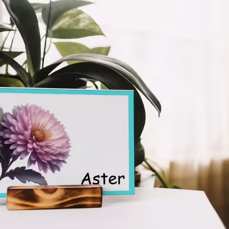 Flowers Flashcards Printables Freebie