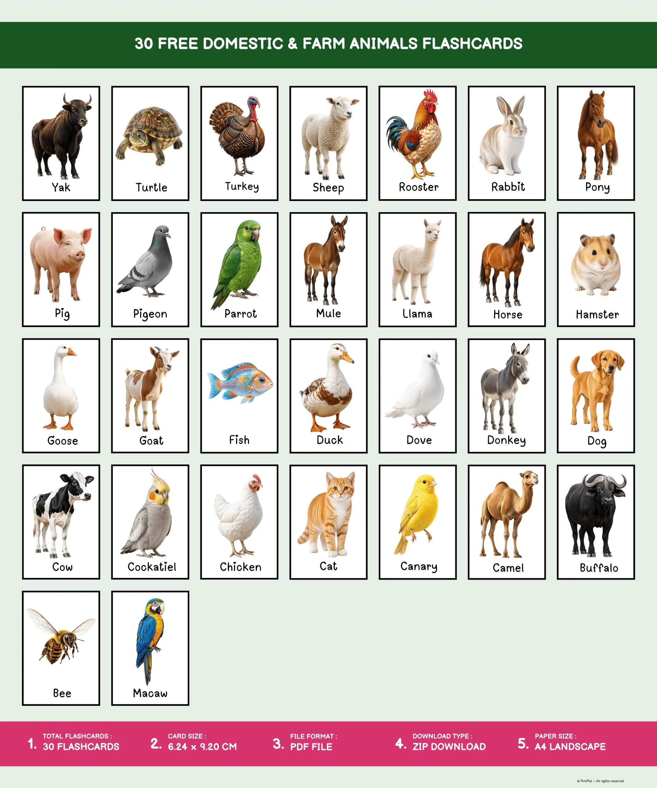 Free farm animals flashcards pdf free download