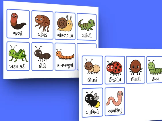 Gujarati Small Creatures Flashcards