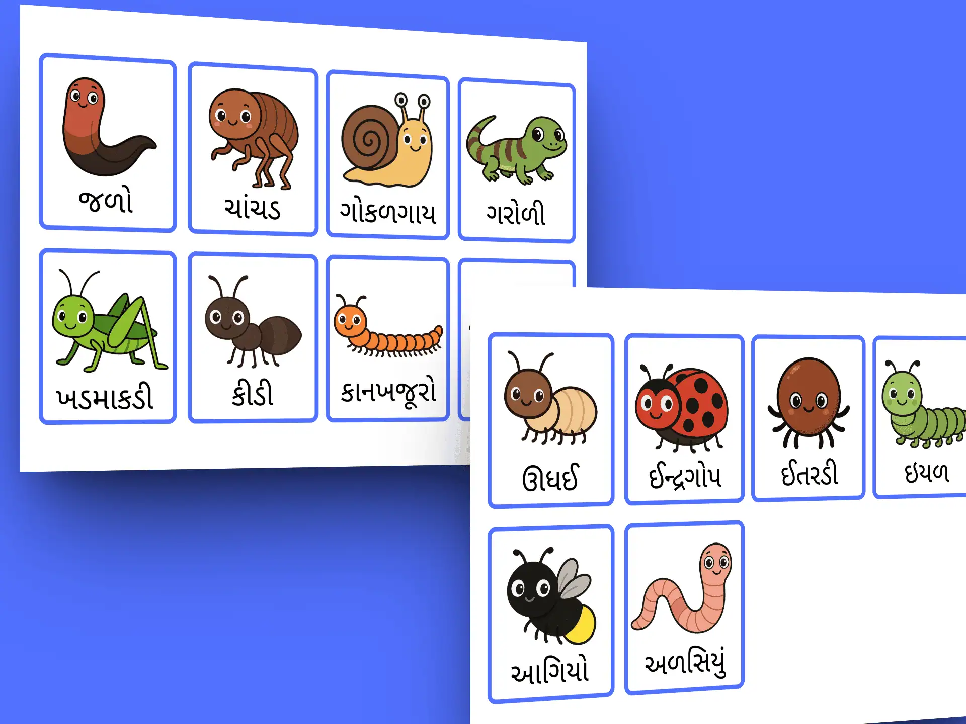 Gujarati Small Creatures Flashcards