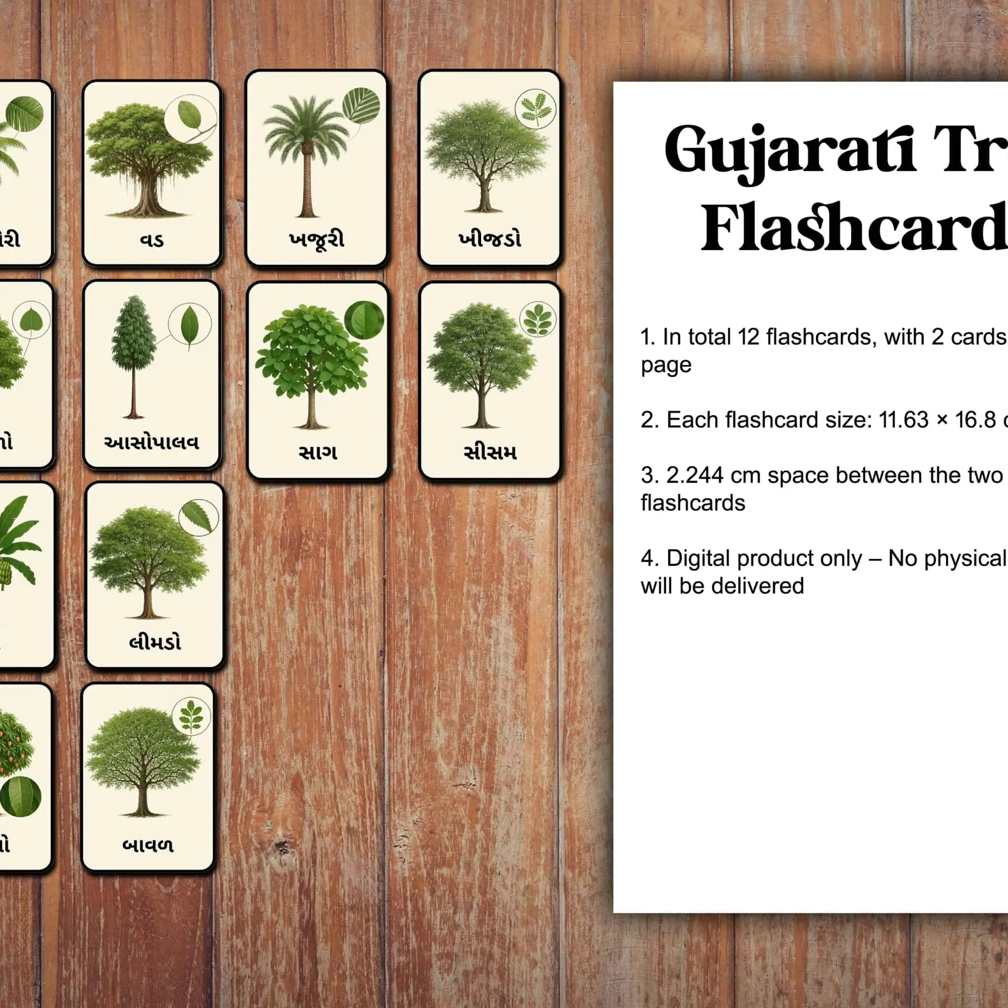 Gujarati-Tree-Names-Flashcard
