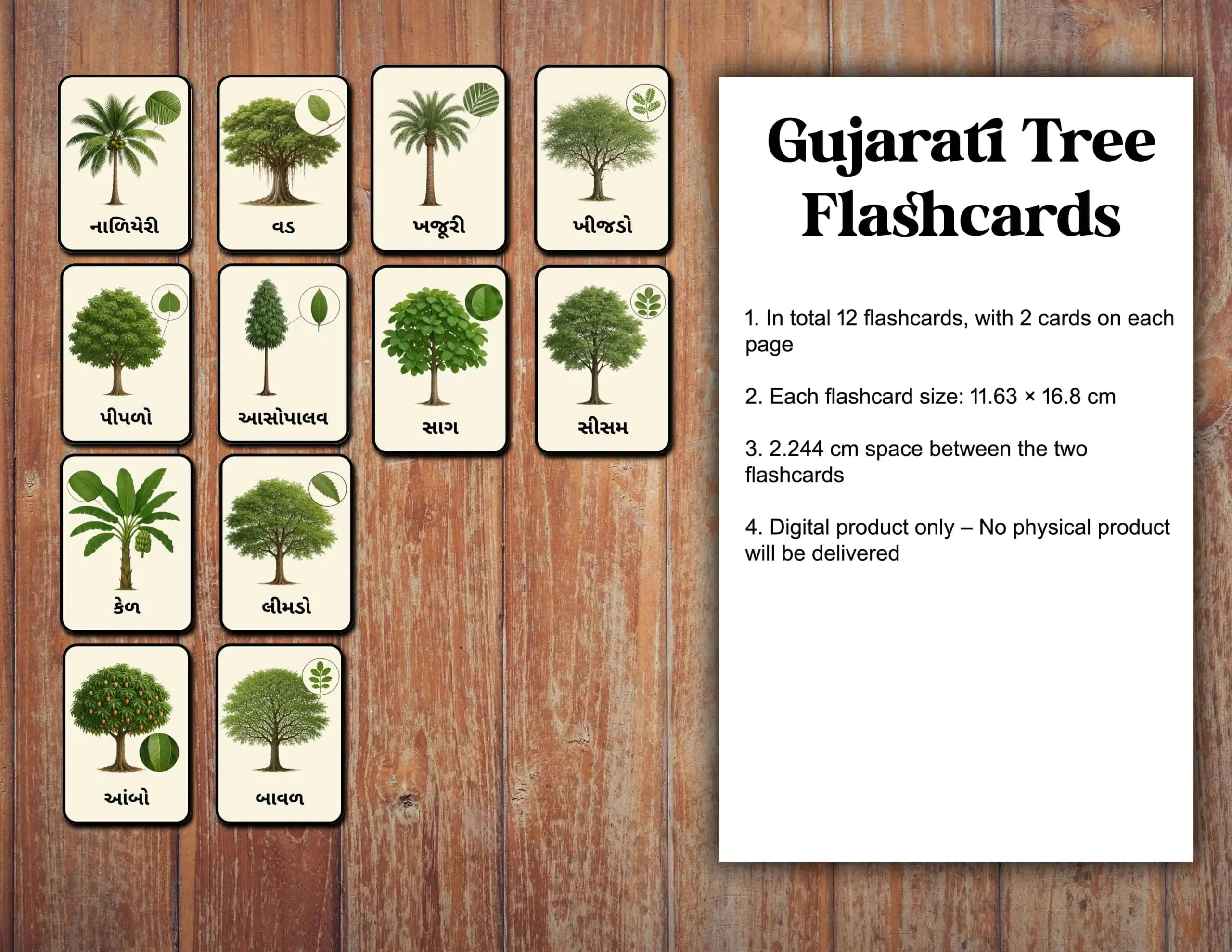 Gujarati-Tree-Names-Flashcard