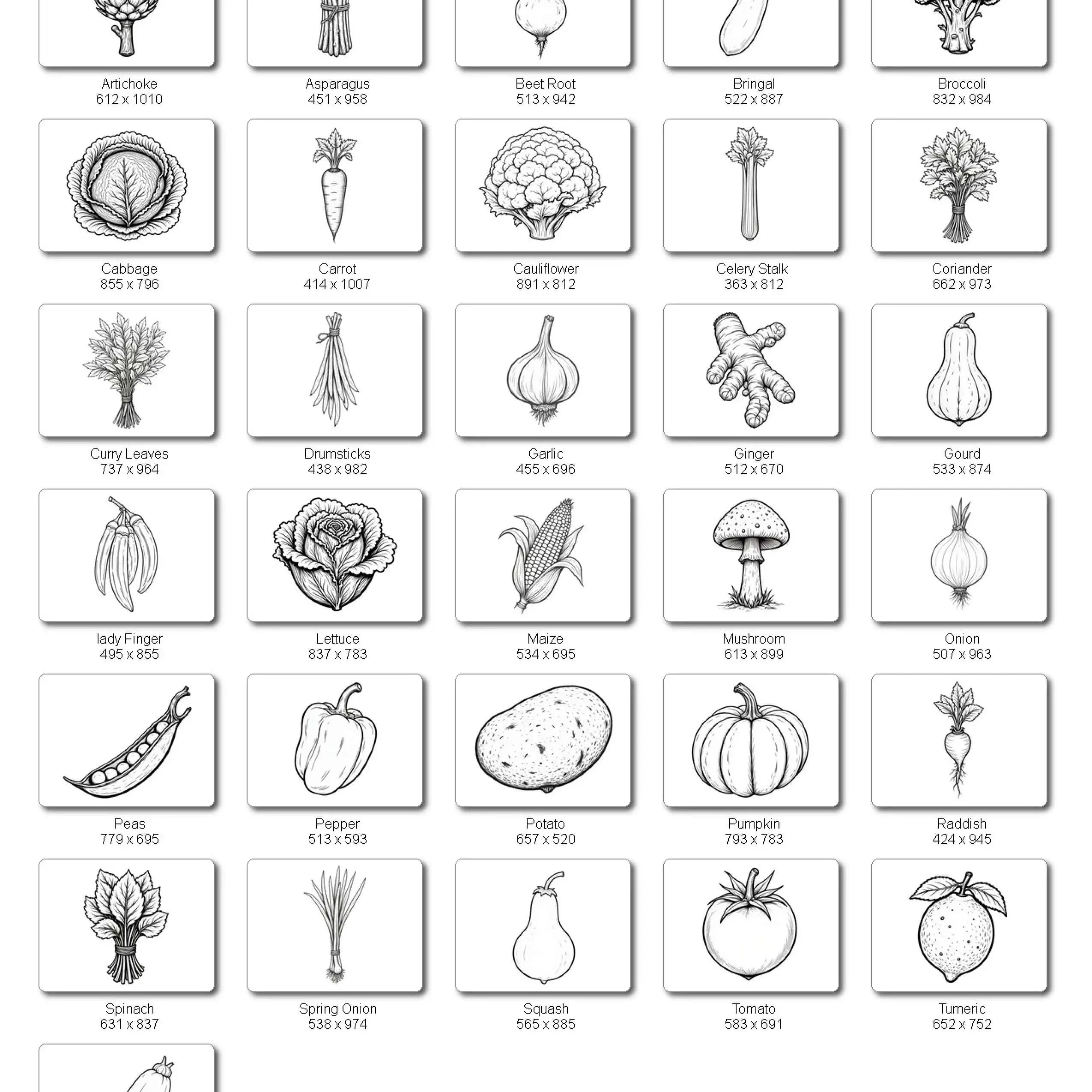 Handdrawn Vegetable Illustrations Bundle