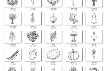 Handdrawn Vegetable Illustrations Bundle