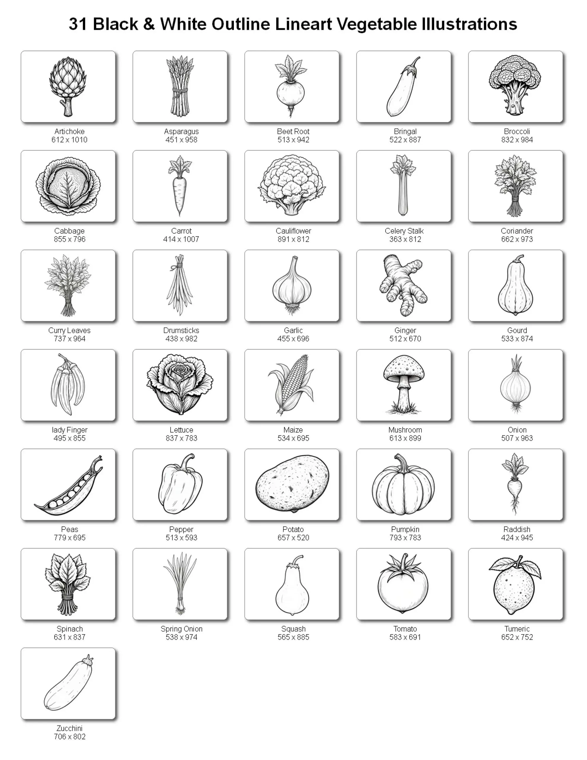 Handdrawn Vegetable Illustrations Bundle