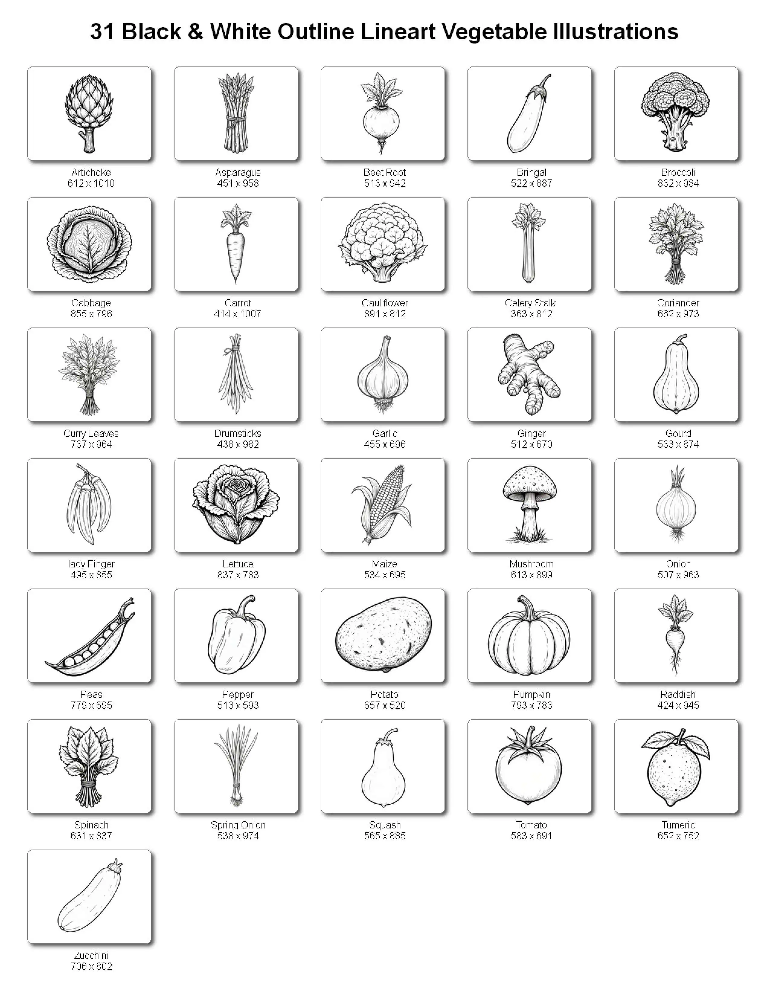 Handdrawn Vegetable Illustrations Bundle