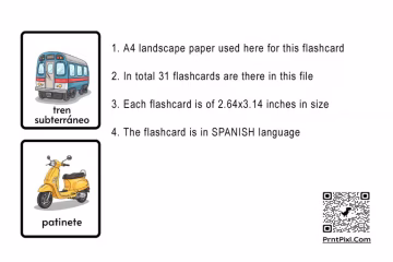 Land Transportation flashcards