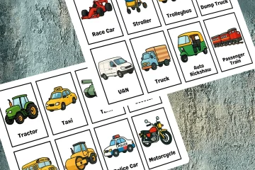Land Transportation Flashcards
