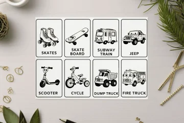 Land Transportation Flashcards
