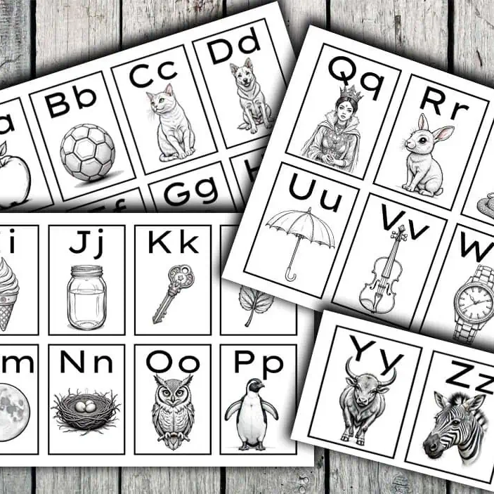 Low Stimuli Illustration Alphabet Flashcards