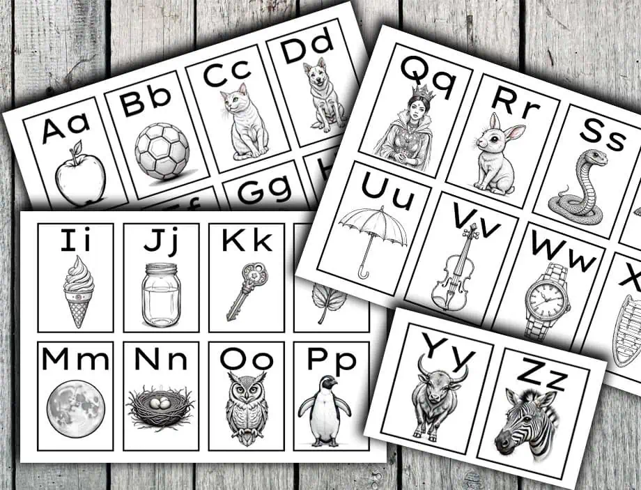 Low Stimuli Illustration Alphabet Flashcards
