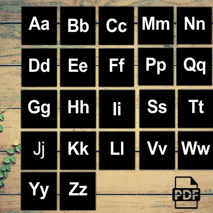 Minimalist Uppercase Lowercase ABC Flashcards