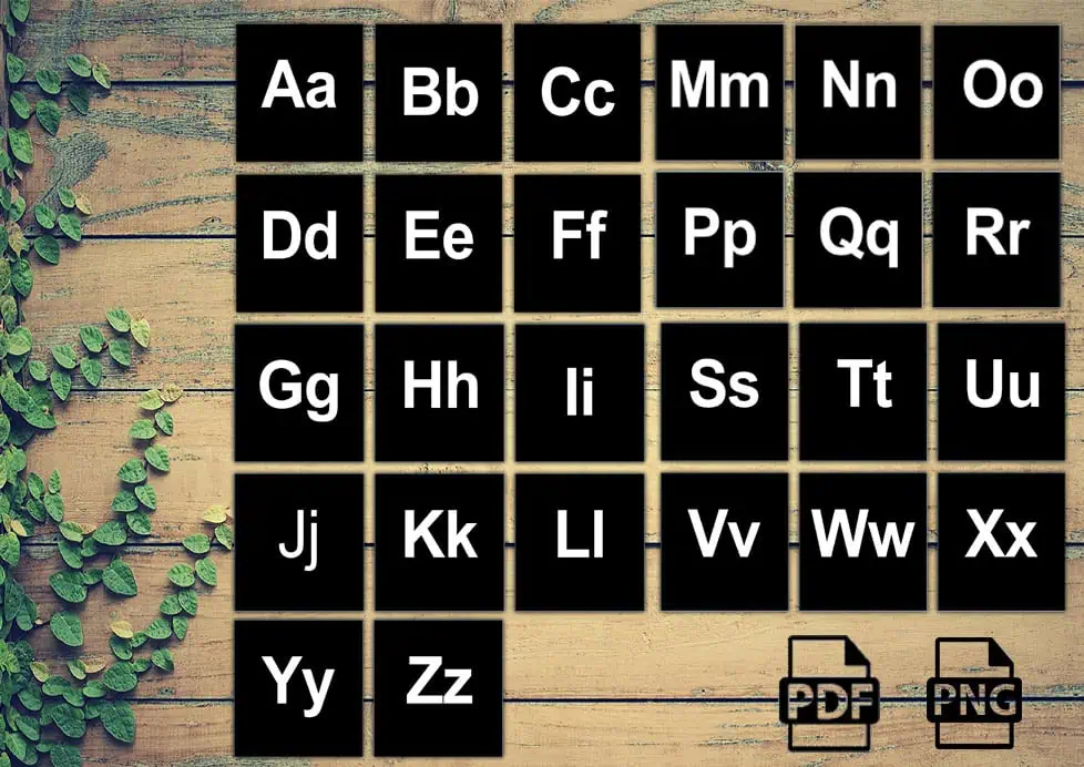 Minimalist Uppercase Lowercase ABC Flashcards