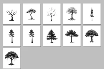 Hand-drawn black ink tree illustration from the Mystic Tree Collection, centered in a white 500x500 frame