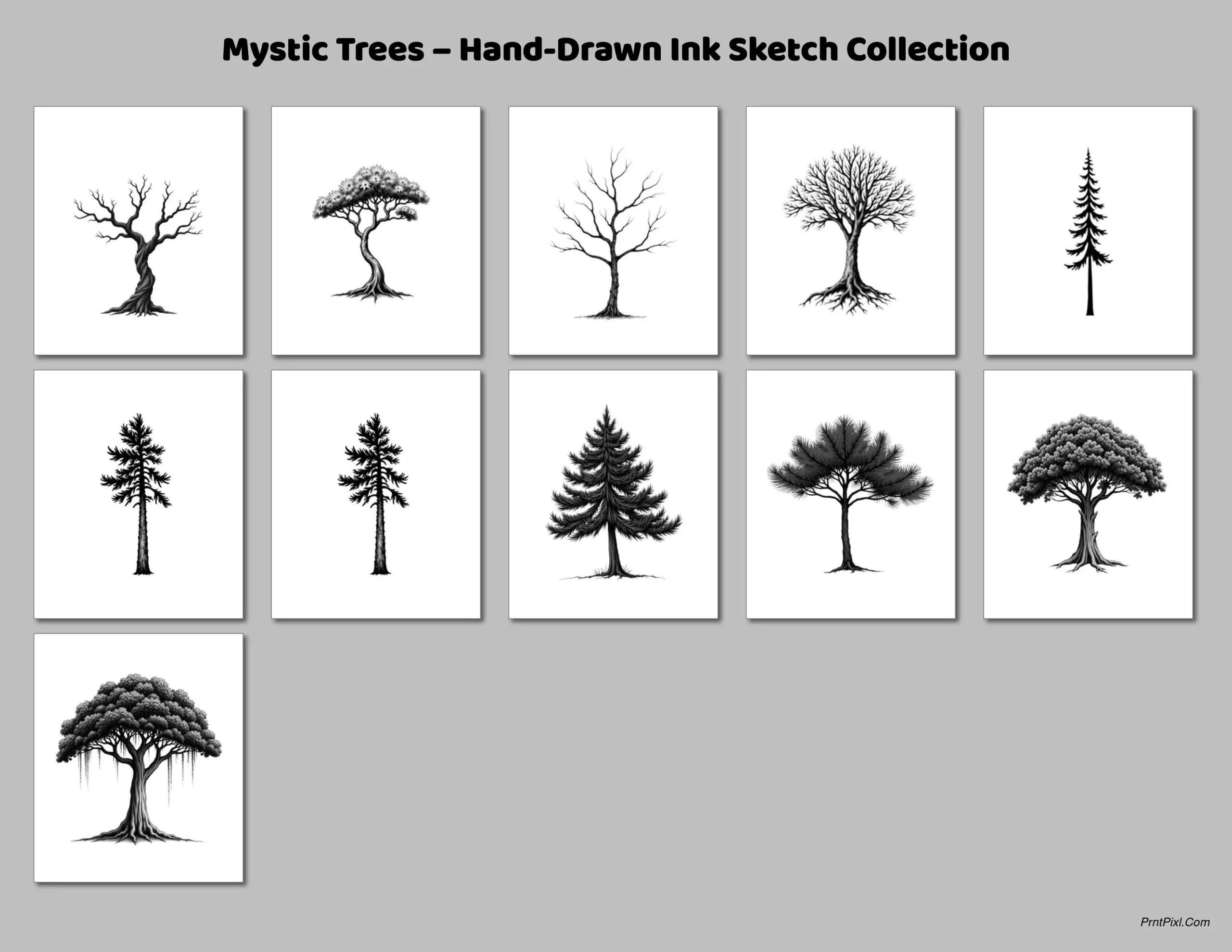 Hand-drawn black ink tree illustration from the Mystic Tree Collection, centered in a white 500x500 frame