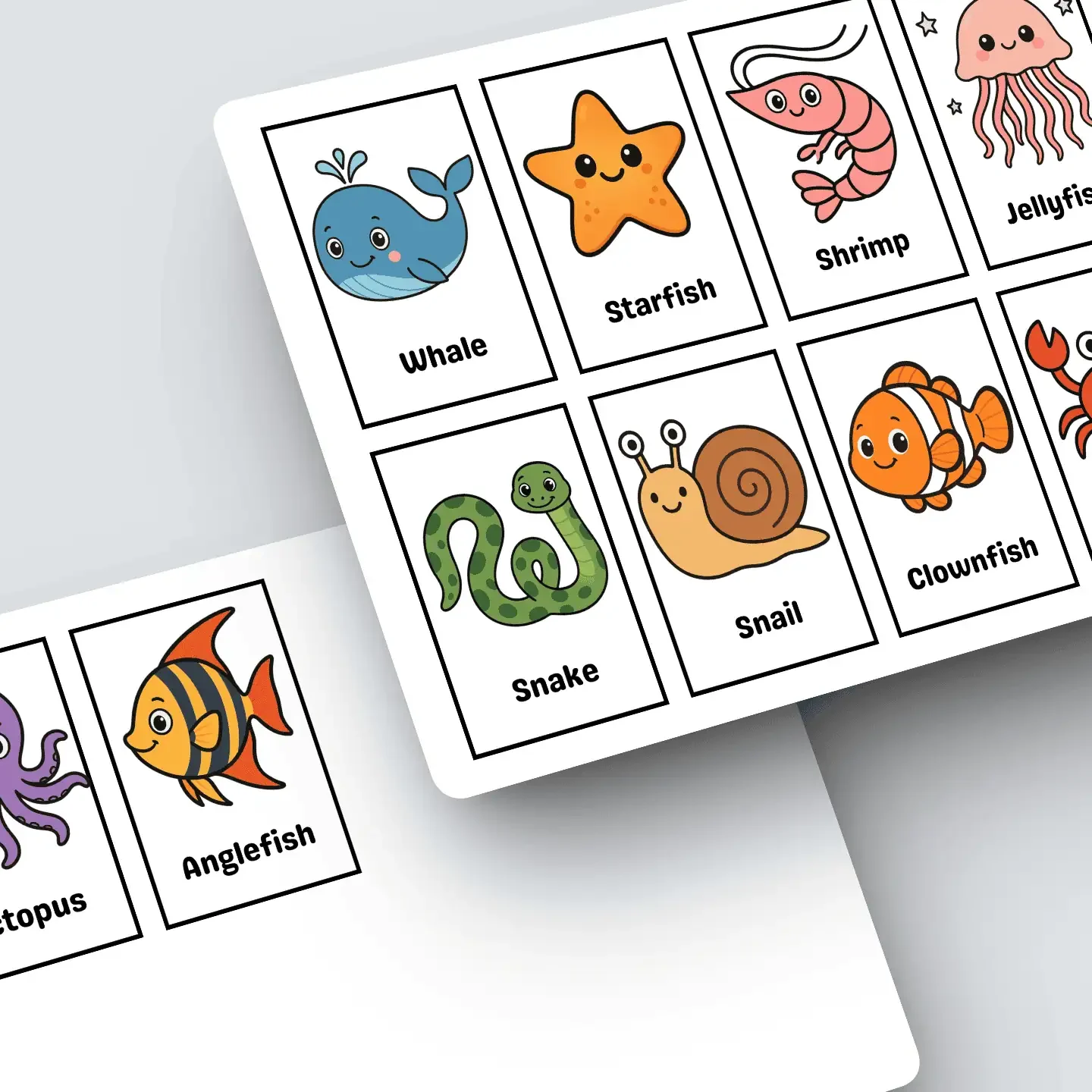 Ocean Animals Flashcards
