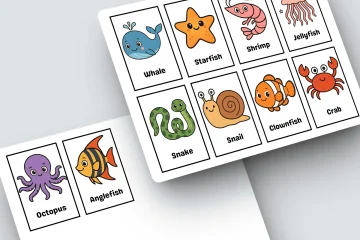 Ocean Animals Flashcards