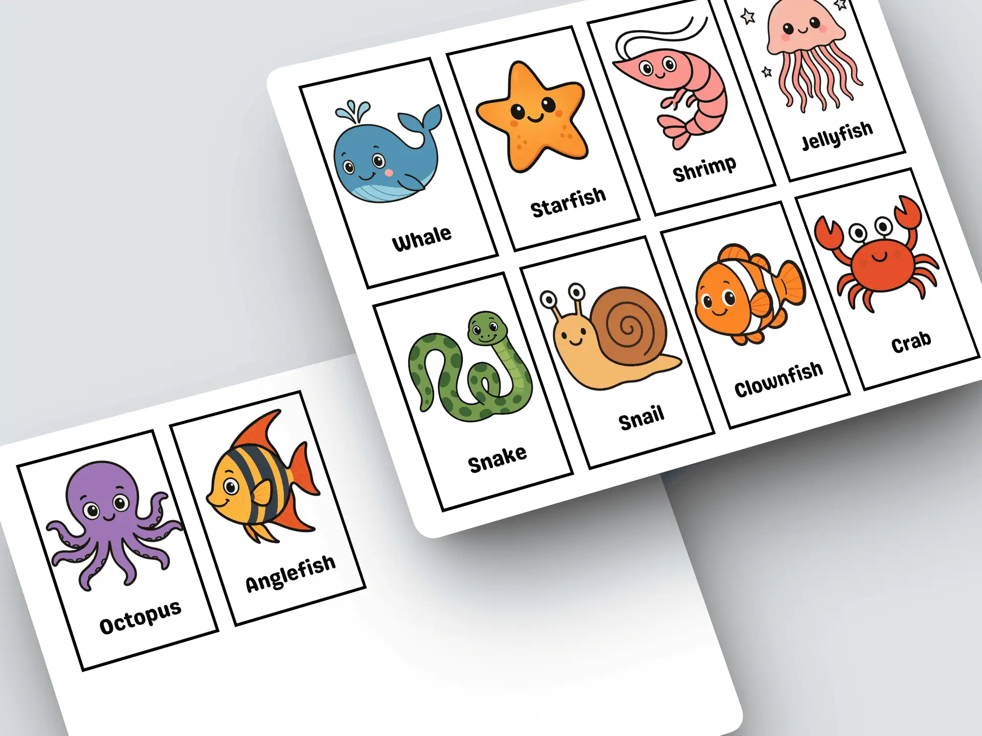 Ocean Animals Flashcards