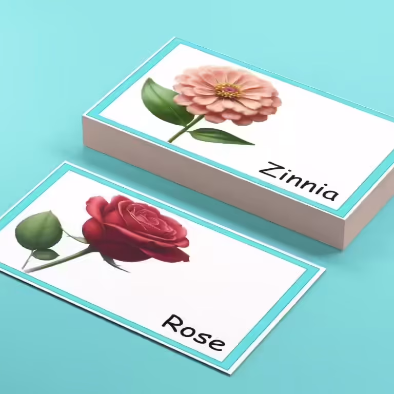 PreSchool Flower Names Flashcards