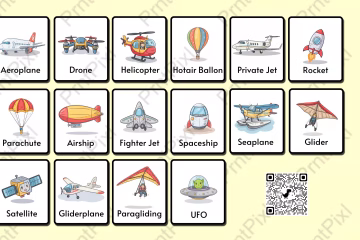 Air Transportation Flashcards