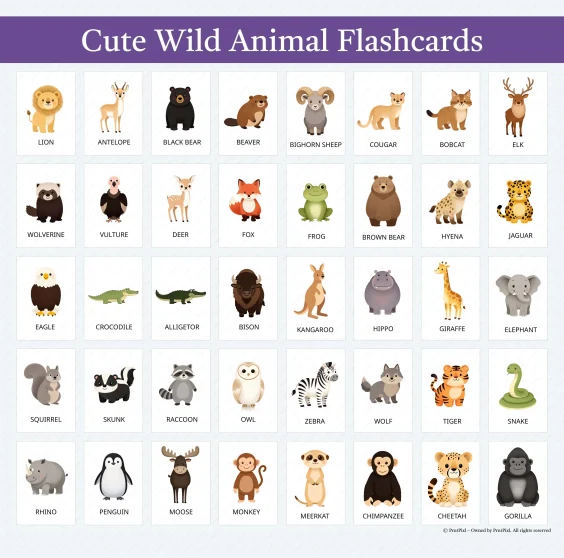 Preschool Animal Vocabulary Flashcards PDF